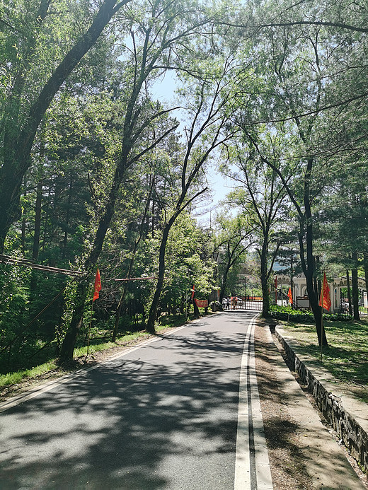 端午节游植物园        6月22日