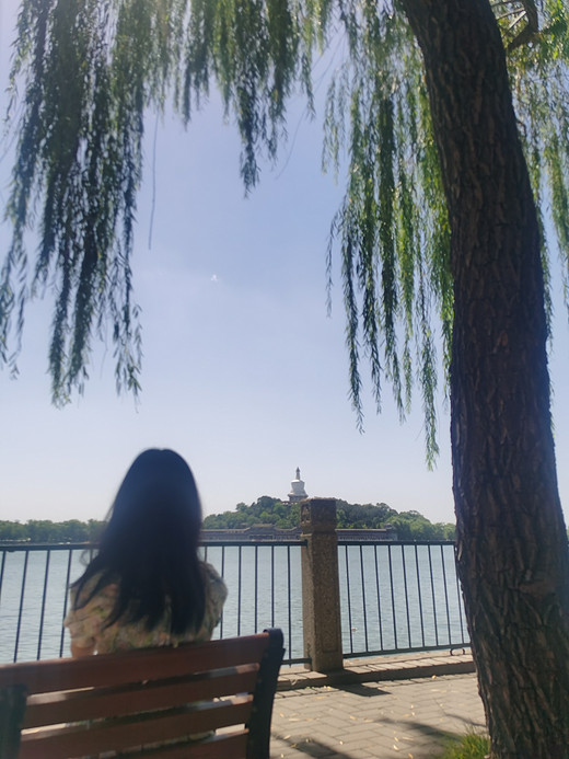 七月的夏天，七月的北京，七月的我和你！（五）-北海公园,佛罗伦萨,乌菲齐美术馆,国家博物馆