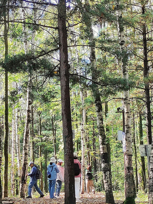 游长白山第三天（9月19号）-松花江,日本,北京