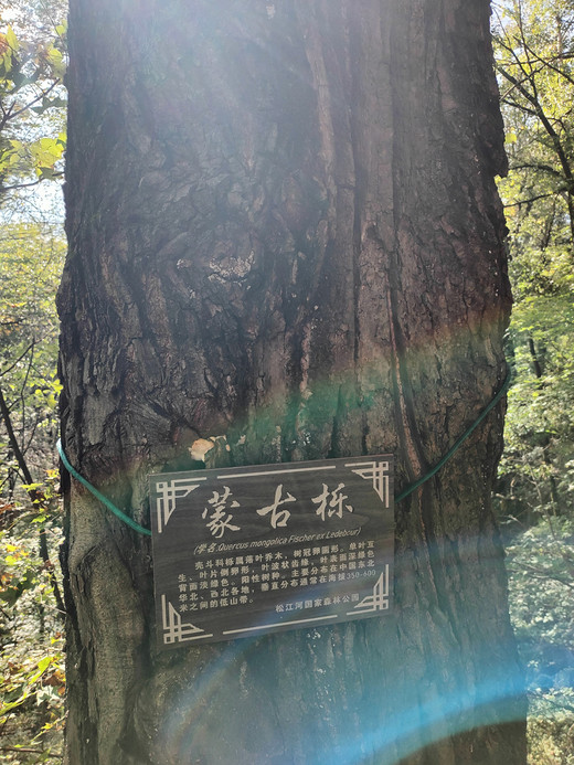 游长白山第三天（9月19号）-松花江,日本,北京