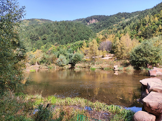 十一“道须沟”一日游-石塘林,木兰围场,赤峰