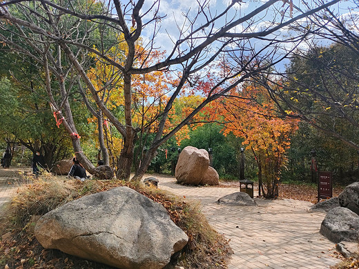 十一“道须沟”一日游-石塘林,木兰围场,赤峰