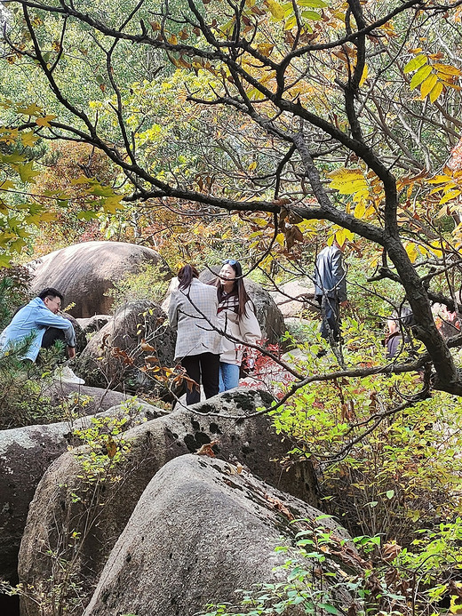 十一“道须沟”一日游-石塘林,木兰围场,赤峰