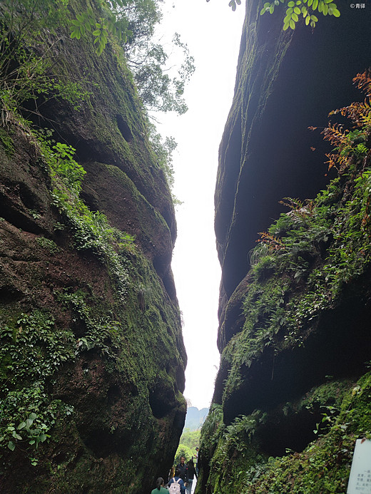 龙虎山、三清山之旅-桂林,象鼻山,福州,黄山