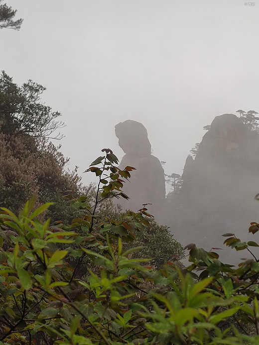 龙虎山、三清山之旅-桂林,象鼻山,福州,黄山