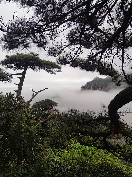 龙虎山、三清山之旅-桂林,象鼻山,福州,黄山