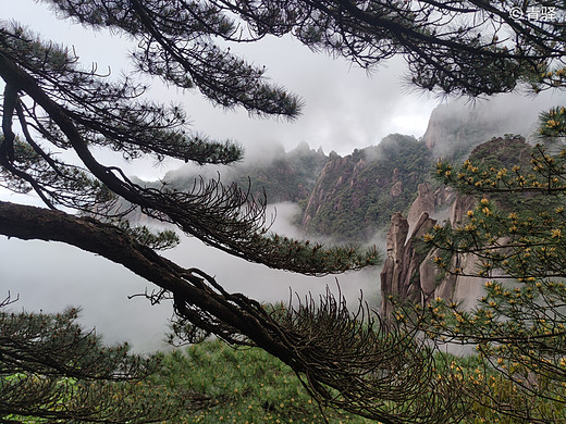 龙虎山、三清山之旅-桂林,象鼻山,福州,黄山