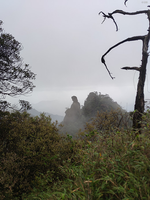 龙虎山、三清山之旅-桂林,象鼻山,福州,黄山