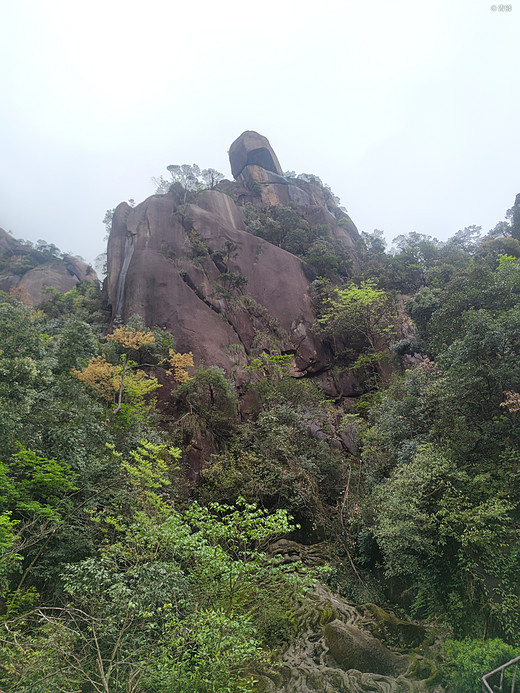 龙虎山、三清山之旅-桂林,象鼻山,福州,黄山