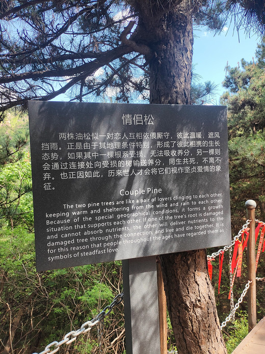 辽宁龙潭大峡谷-和龙,石林,栈桥