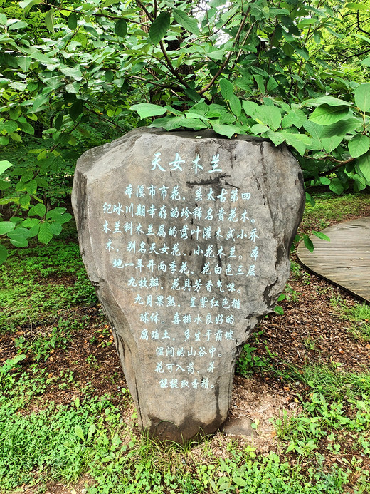 本溪水洞、硅化石王国两日游-长白山
