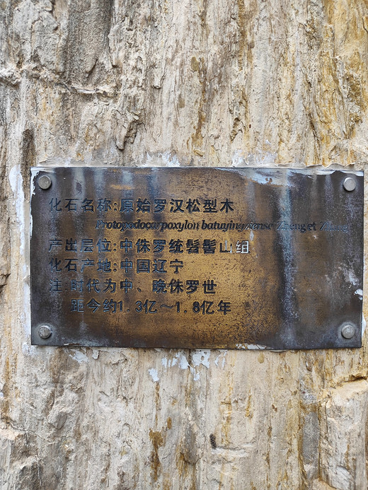 本溪水洞、硅化石王国两日游-长白山