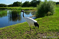 http://qyimg.iqingyi.com/inpost/20260722/ebed86f68003b89e00ead54c478b990d.jpg!postcover