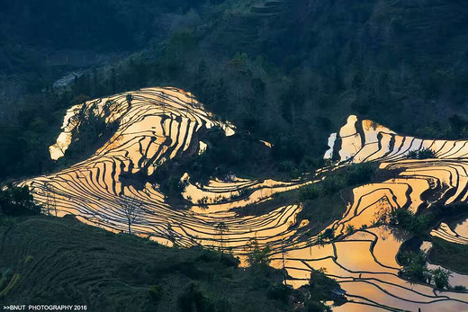 元阳梯田景区现在去景色好吗？-元阳梯田，建水