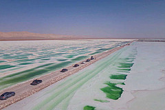 http://qyimg.iqingyi.com/route/202010/3611b7f231c8d490176a6cba20df6841.jpg!postcover