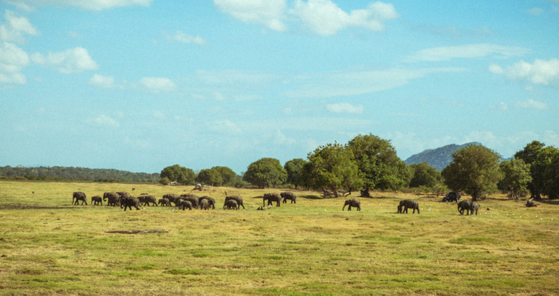 米内日亚国家公园