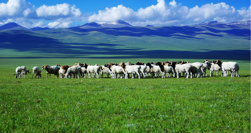 巴音郭楞蒙古自治州