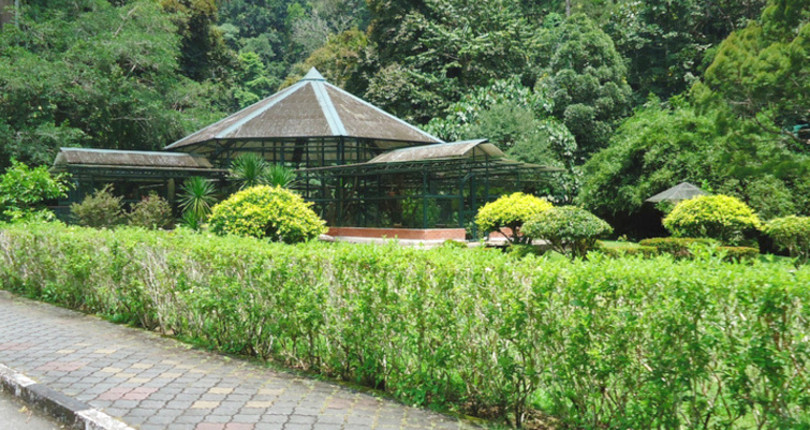 槟城植物园