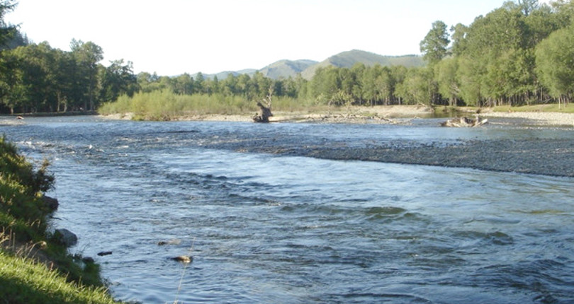 图勒河