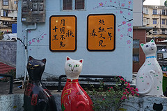 妹子一枚，说走就走