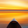 https://qyimg.iqingyi.com/foruser/20180313/f0dafc094ac299ca125965259b3985b8.jpg!usercover