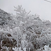 https://qyimg.iqingyi.com/foruser/20190120/d57946ae7eb76c80088f974e7a5c3f60.jpg!usercover