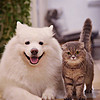 https://qyimg.iqingyi.com/foruser/20190201/b314ff5ce57a5cd7.jpg!usercover