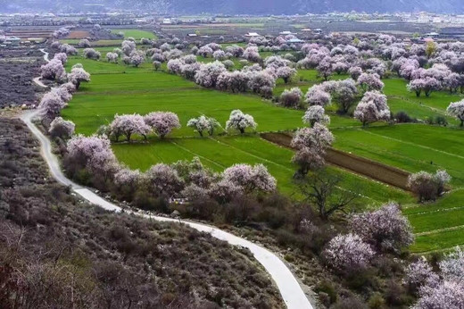 川藏自驾游