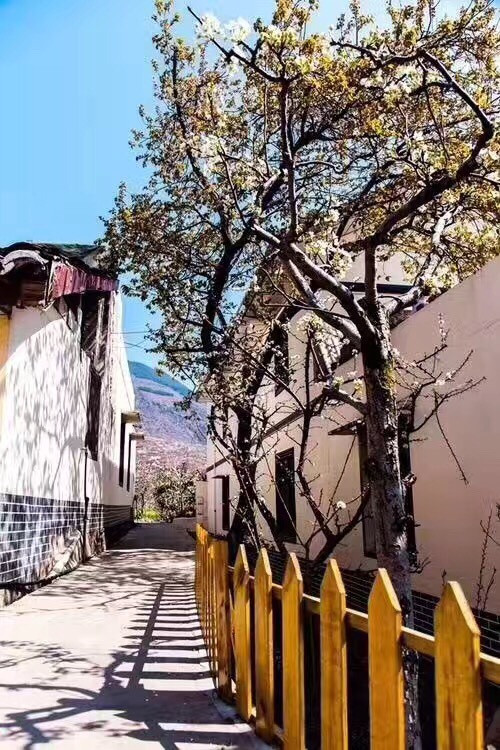 4月6号成都出发去拉萨