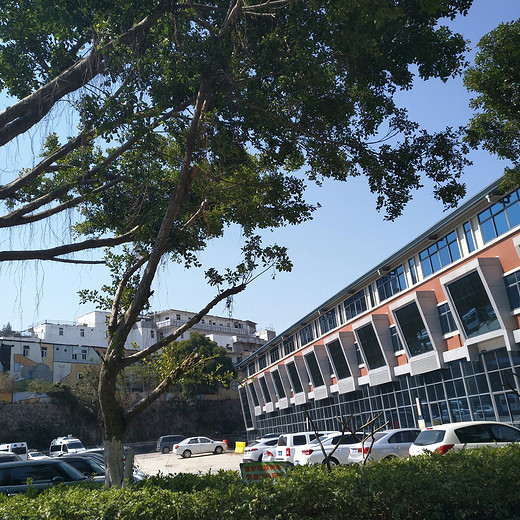 玩转厦门(1)-曾厝垵,鼓浪屿,厦门大学,台湾