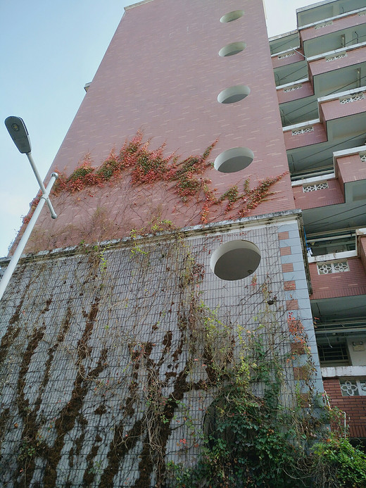 玩转厦门(1)-曾厝垵,鼓浪屿,厦门大学,台湾