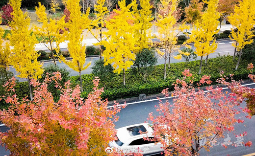 最美景观大道-钱塘江,西湖,杭州