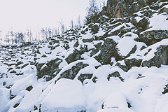 浴雪阿尔山，不顾山高与路远（5）