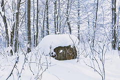 浴雪阿尔山，不顾山高与路远（2）