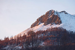 浴雪阿尔山，不顾山高与路远（3）