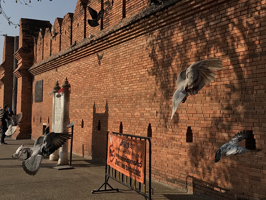 2018-2-2小木的清迈半日流水帐-契迪龙寺,三王纪念碑,泰国