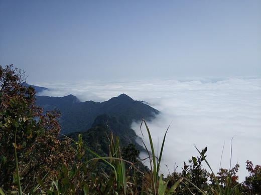 2018春节攀爬海南五指山游记