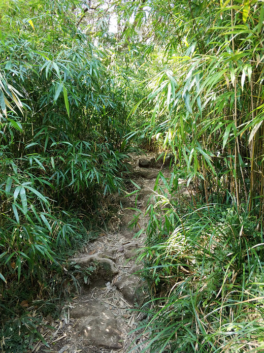 2018春节攀爬海南五指山游记