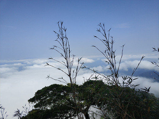 2018春节攀爬海南五指山游记