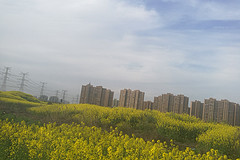 https://qyimg.iqingyi.com/inpost/20180405/370b9447976762211a60a64ed4772576.jpg!postcover