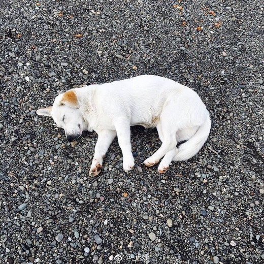 在丽江做一回走山人，走过泸沽湖的山间湖泊