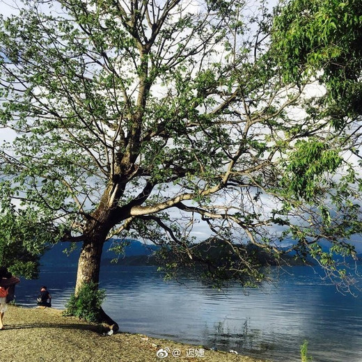 在丽江做一回走山人，走过泸沽湖的山间湖泊