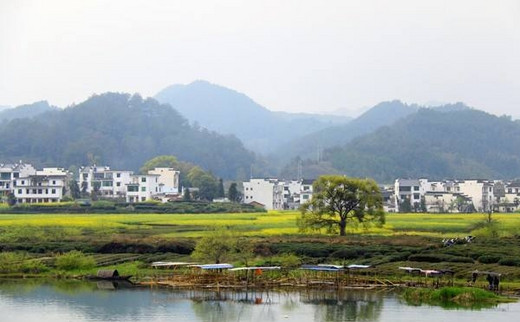 随遇黄山度假村