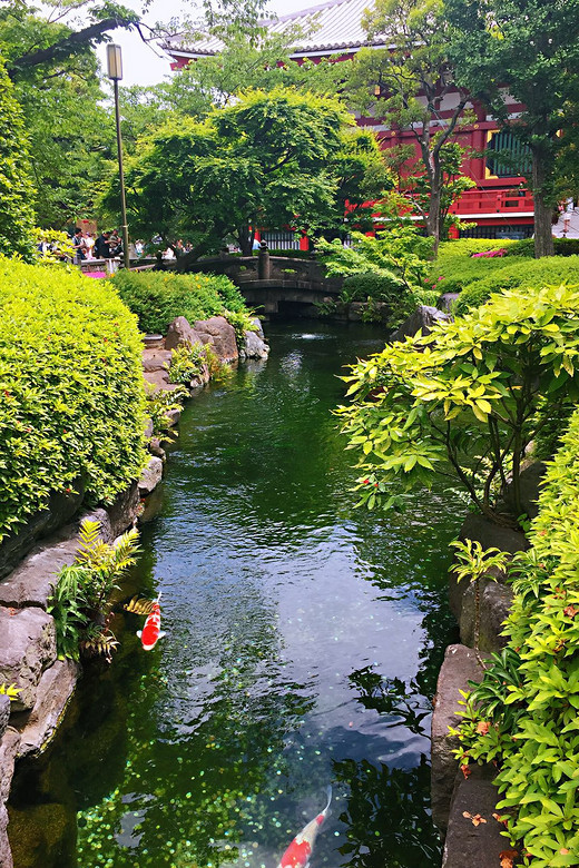 日本游记-富士山,浅草寺,皇居,大阪城,大阪城公园