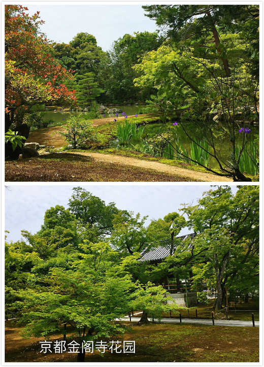日本游记-富士山,浅草寺,皇居,大阪城,大阪城公园