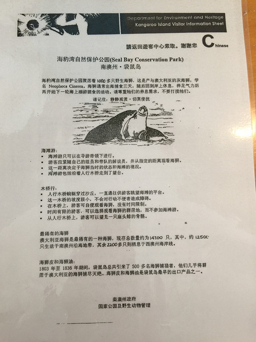 迷情考拉，追寻袋鼠，从阿德莱德到墨尔本漫漫自驾路（2）-袋鼠岛,阿德莱德大学,澳大利亚