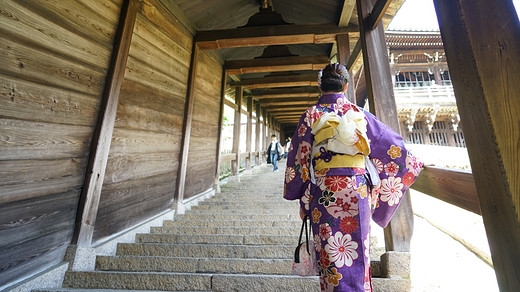 带着黛玉游关西-道顿堀,东大寺,奈良公园,奈良,大阪城