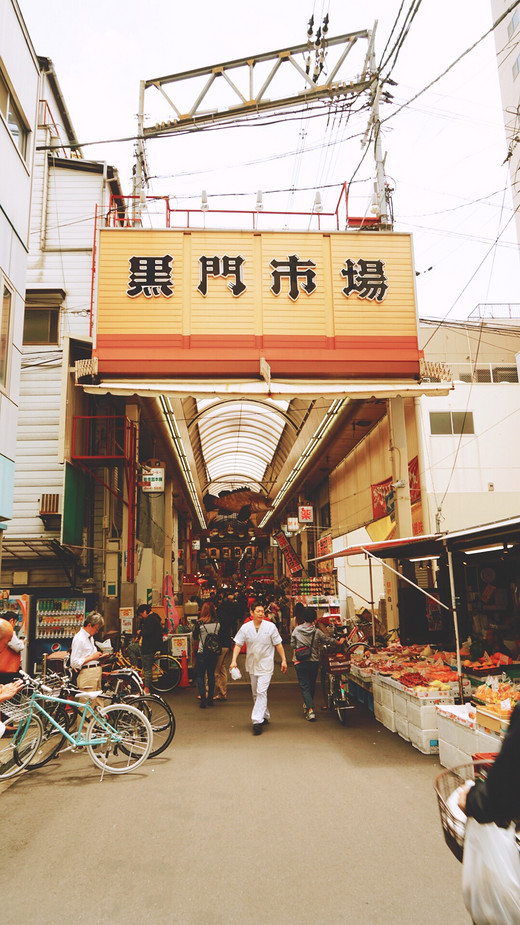 带着黛玉游关西-道顿堀,东大寺,奈良公园,奈良,大阪城