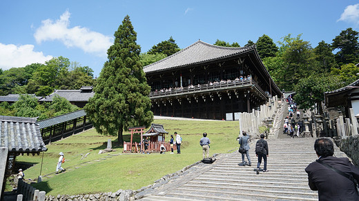 带着黛玉游关西-道顿堀,东大寺,奈良公园,奈良,大阪城