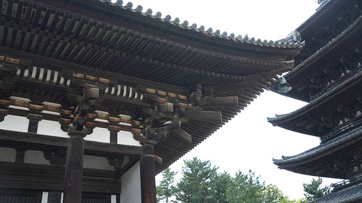 带着黛玉游关西-道顿堀,东大寺,奈良公园,奈良,大阪城